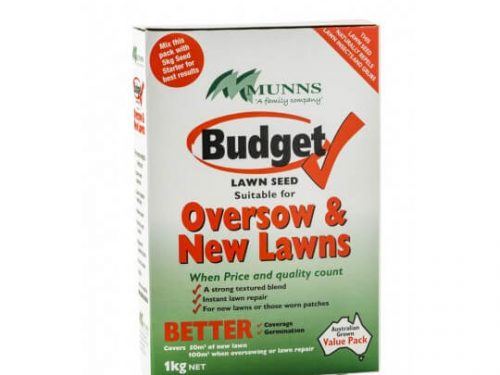 Budget lawn seed 1kg