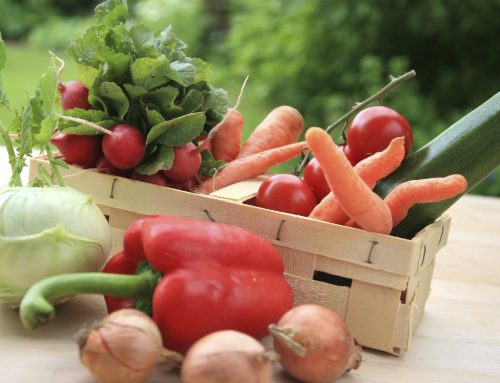Get Ready for a Delicious Harvest – The Top Fruit and Veg to Grow During Autumn in Australia