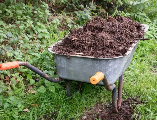 The Benefits of Composting in Autumn